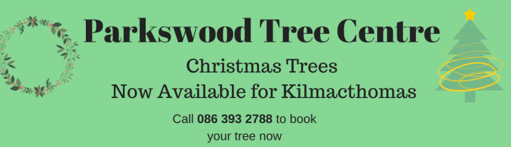 Christmas trees kilmacthomas
