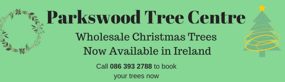 Wholesale Christmas Trees Ireland
