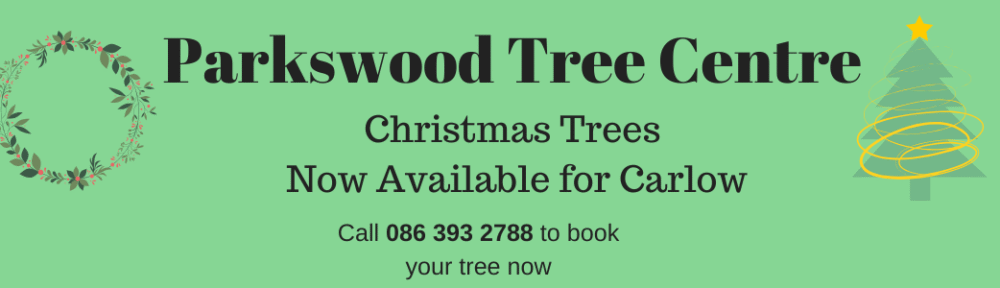 Christmas Trees Carlow