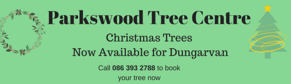 Christmas Trees Dungarvan